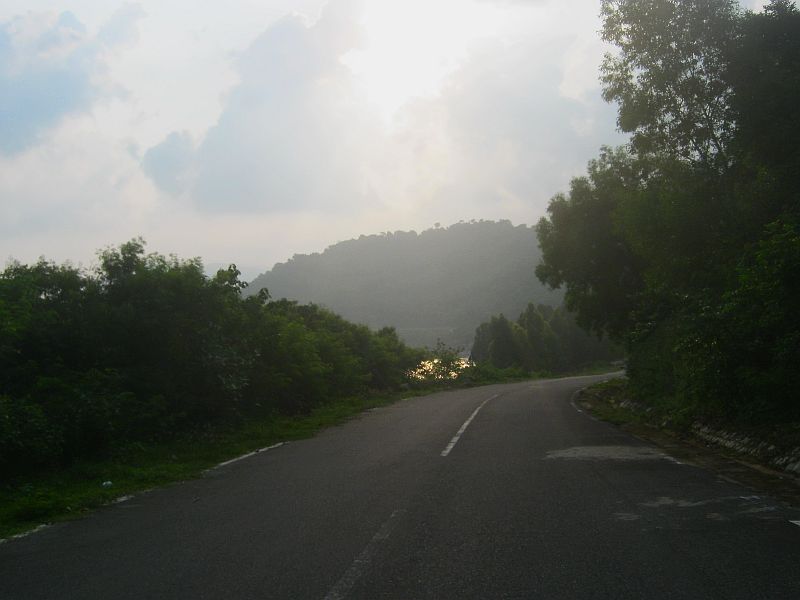 IMG_7528.jpg