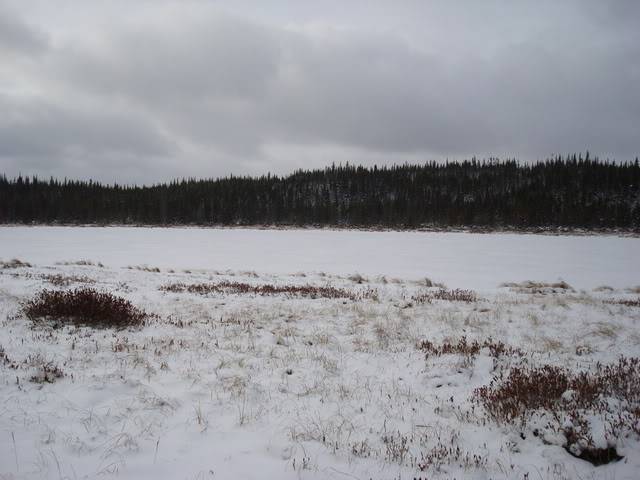 DSC06130.jpg