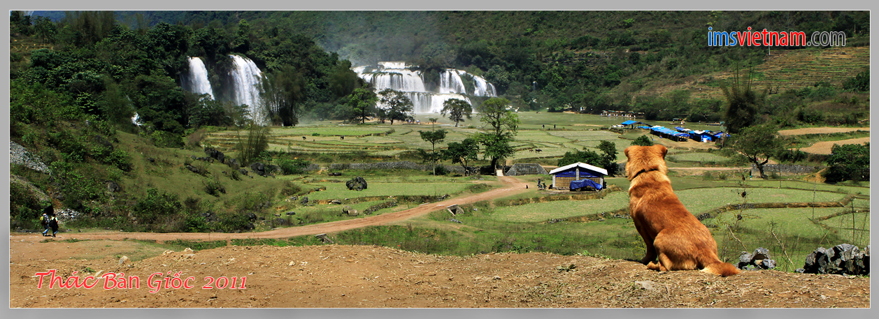 thacbangioc-2011.png