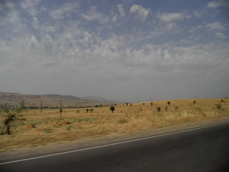 P8120794.jpg