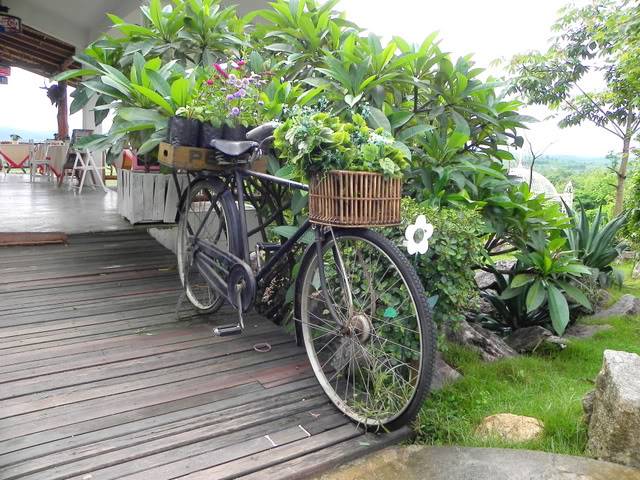 DSCN1178.jpg