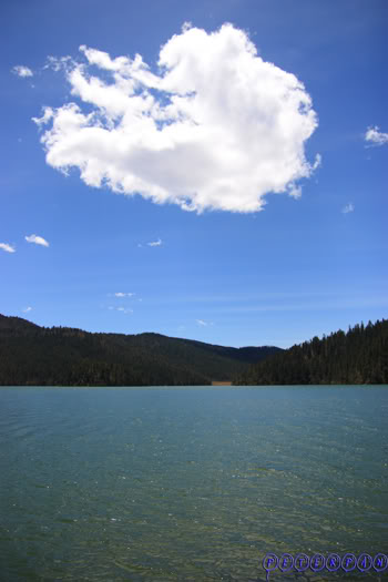 shangri-la253.jpg