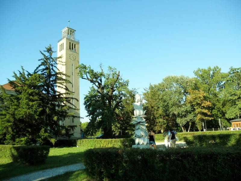 DSCN0272.jpg