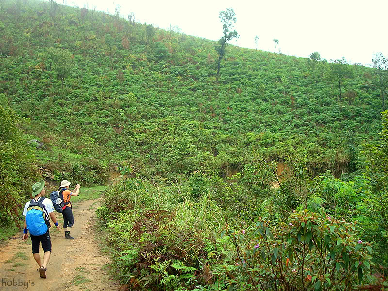 DSC08035-1.jpg