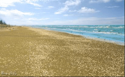 image031_.gif