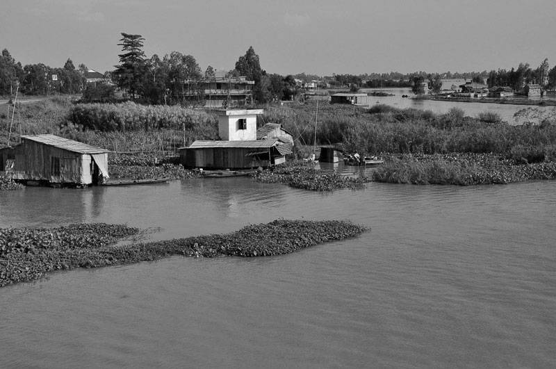 DSC_5605.jpg