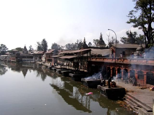 PB050015.jpg