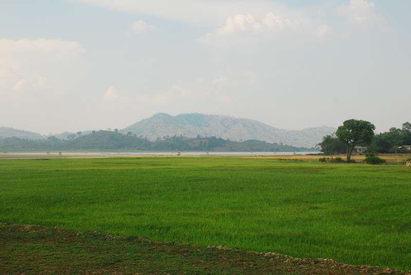 DSC_0467.JPG