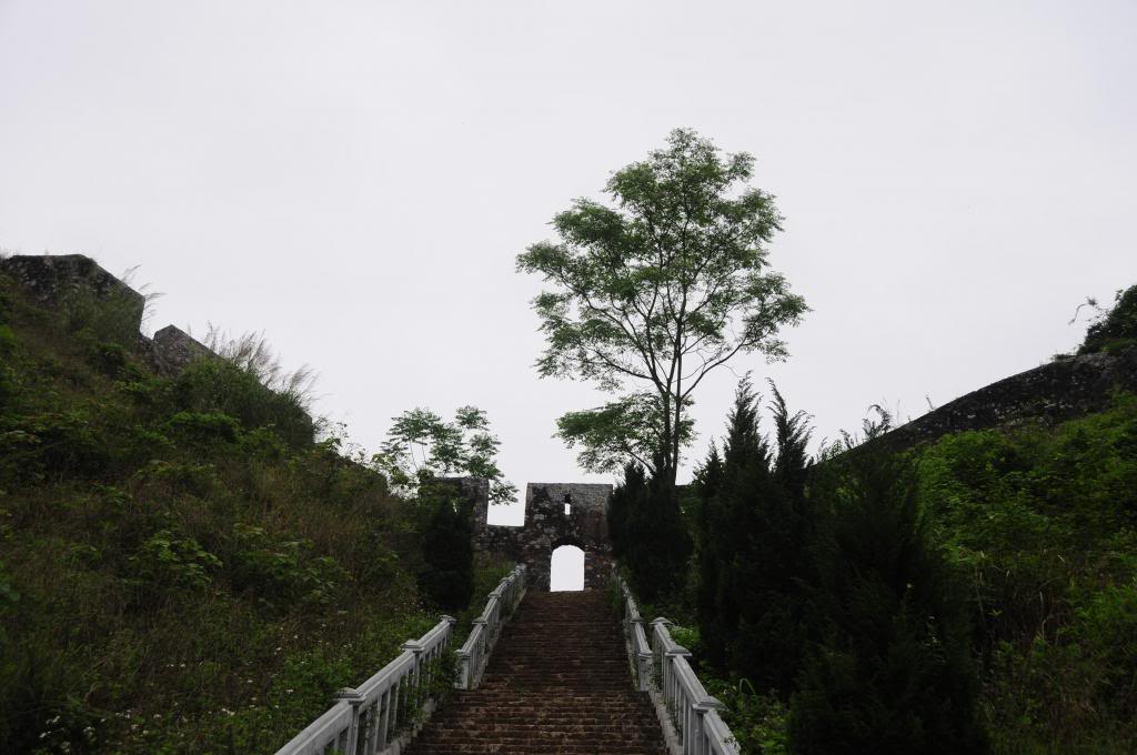 DSC_1678.jpg