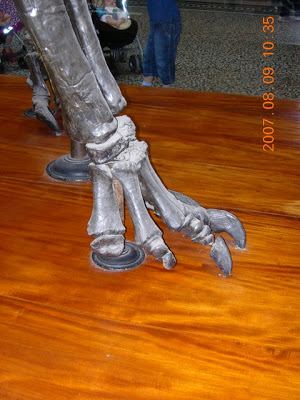 DSCN3655.JPG
