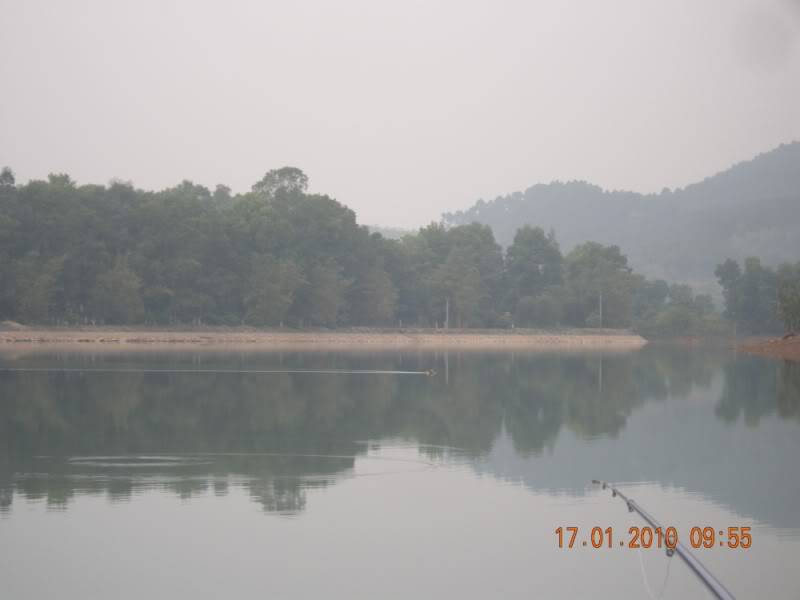 Phongcanh800x600.jpg