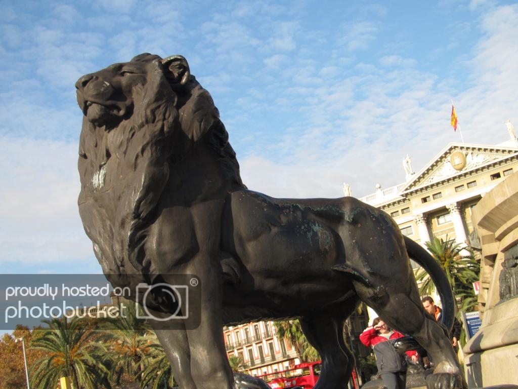 IMG_5022_zps90e0d55d.jpg