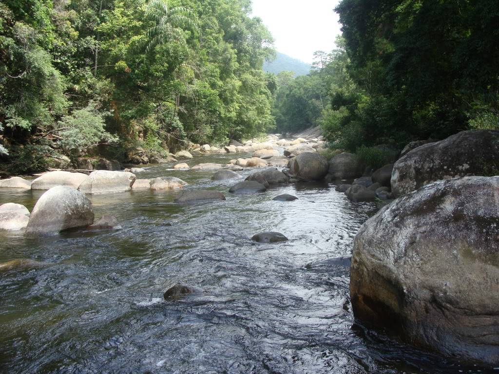 DSC00479.jpg