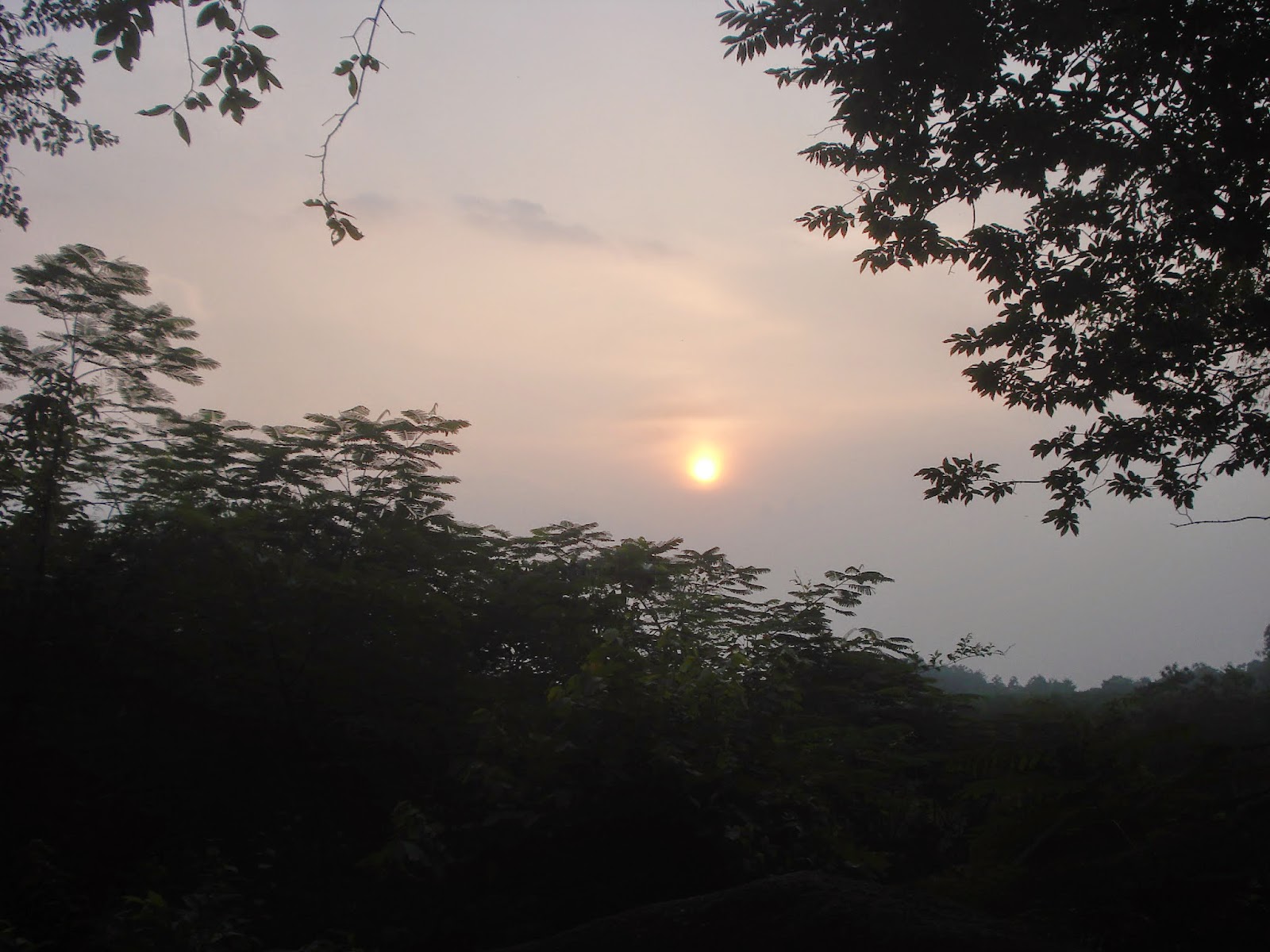 DSC05409.JPG