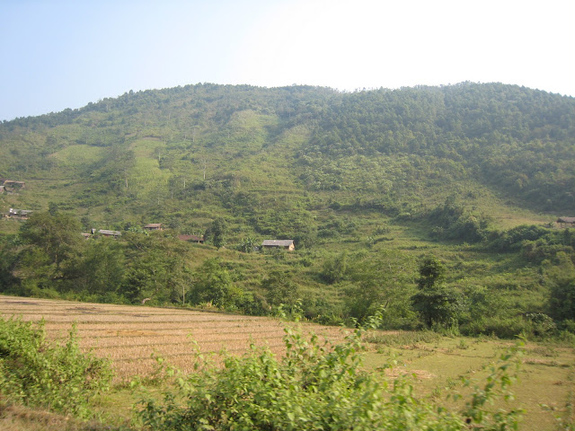 IMG_8669.jpg