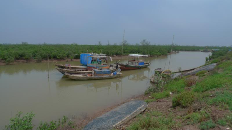 L1160142.jpg