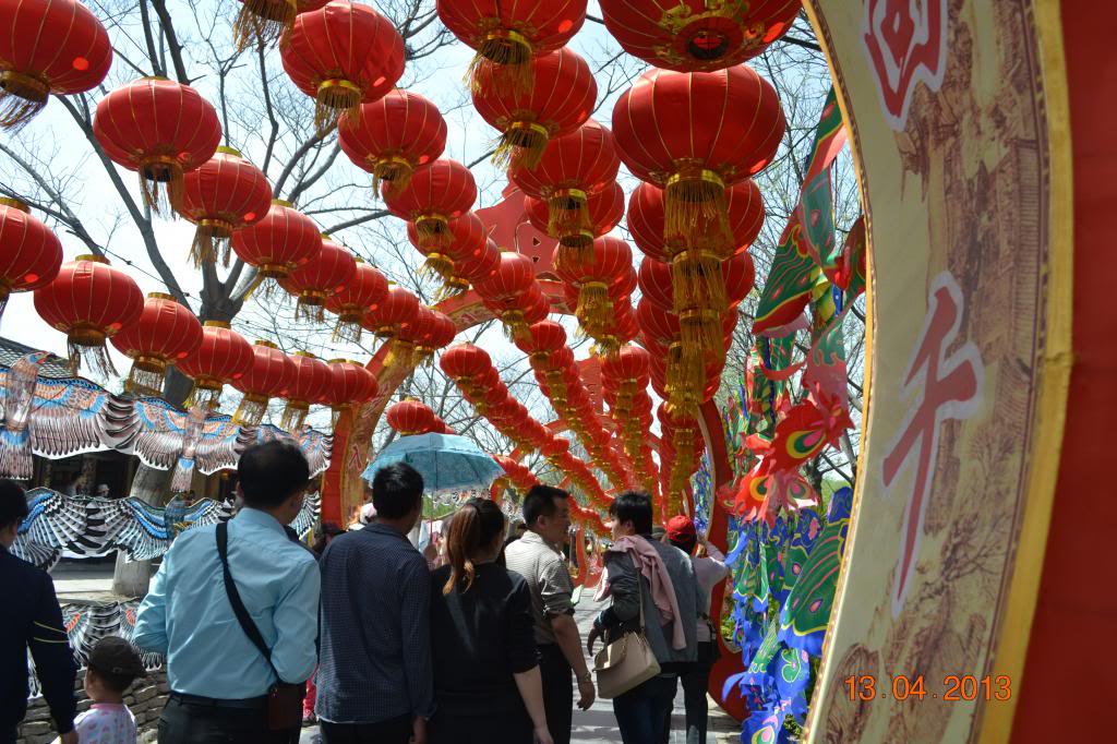 DSC_0877_zpsc4ef9213.jpg