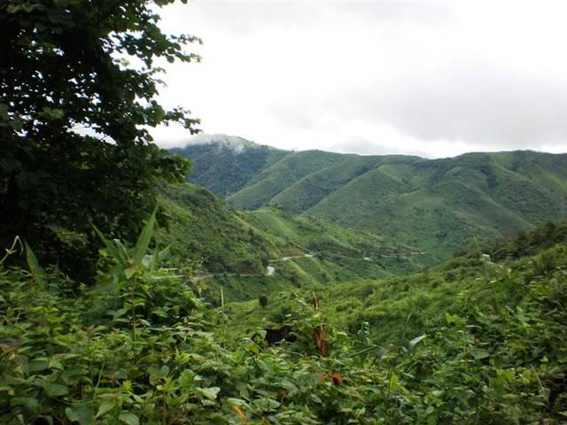 P7250465.jpg