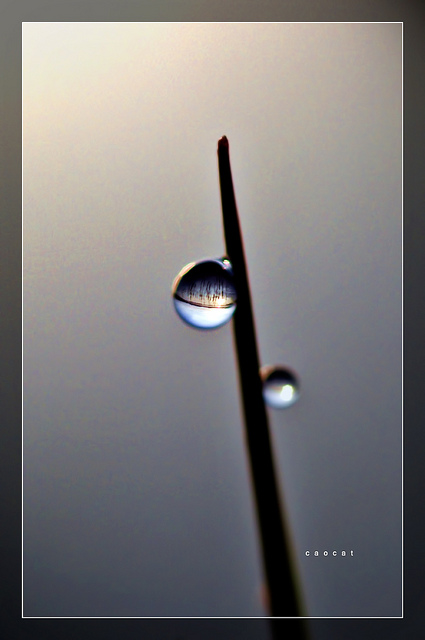7732030258_1dd49f4147_z.jpg