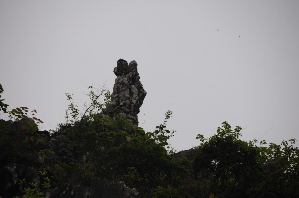 DSC_1660.jpg