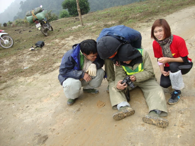 DSC06590.jpg