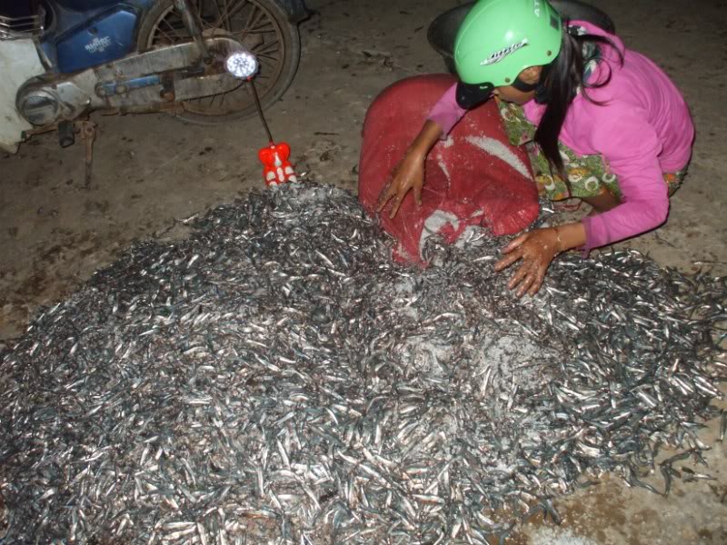 DSCF7164.jpg