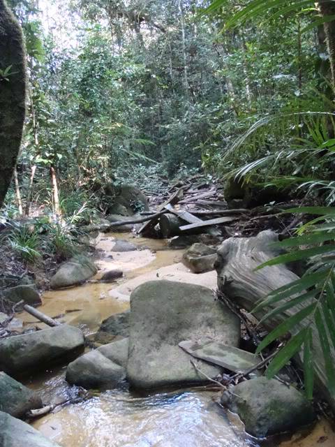 DSC00100.jpg