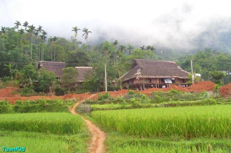 SDC12512.jpg