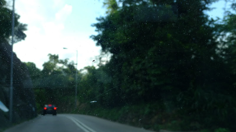 L1020806.JPG