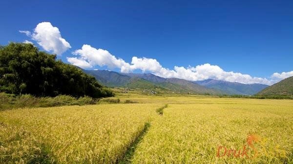 mua_dep_nhat_bhutan_3.jpg