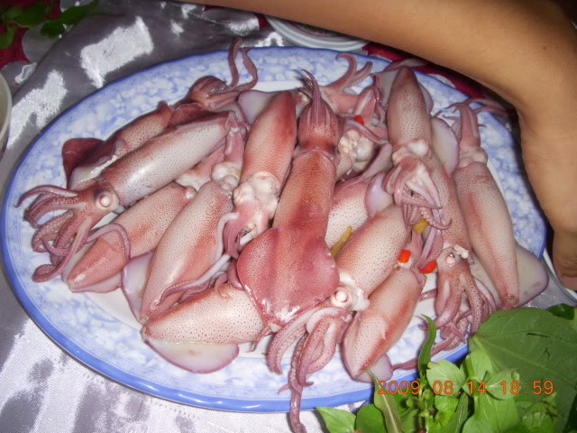 DSCN5225.jpg