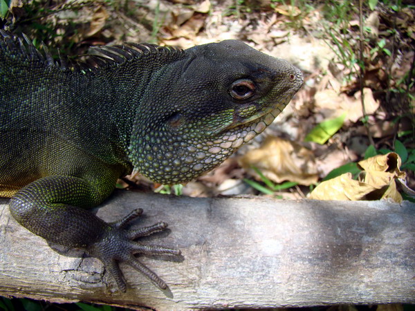 DSC03144.JPG