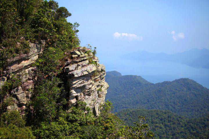 IMG_4156Small-1.jpg