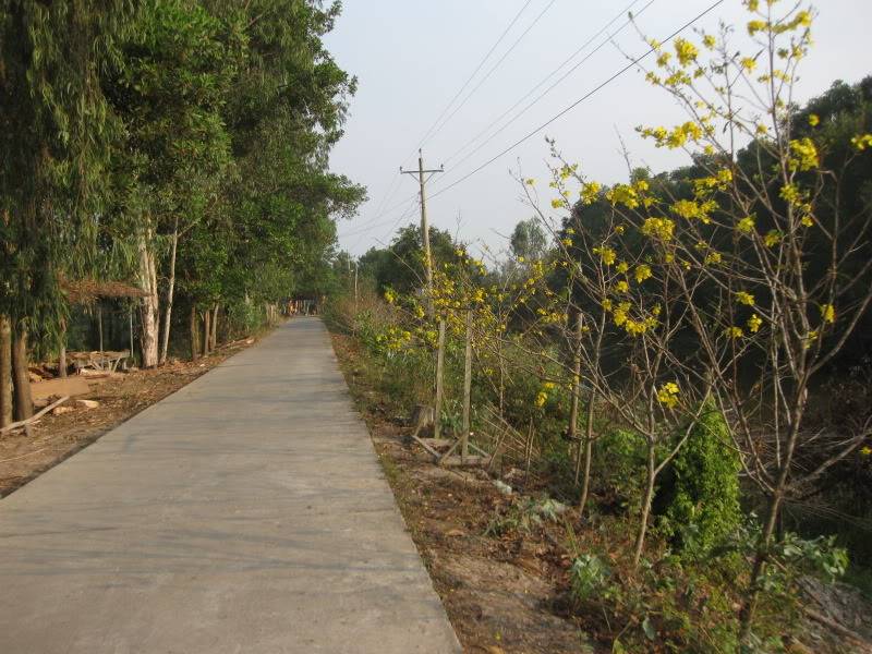 DongThapTET2011278.jpg