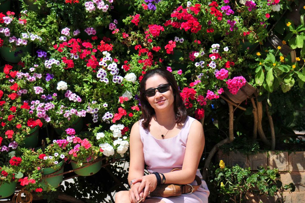 DSC_8816_zpsb8f808dd.jpg