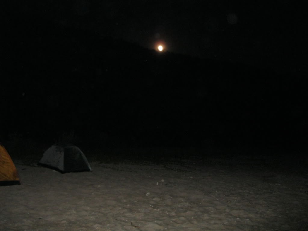 IMG_3897.jpg