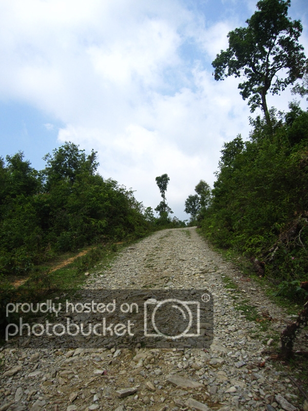 IMG_1130_zps3dd0cfa7.jpg
