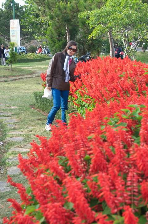 DSC_0239.jpg