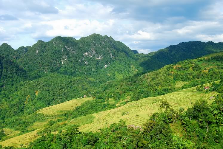 Puluong.jpg