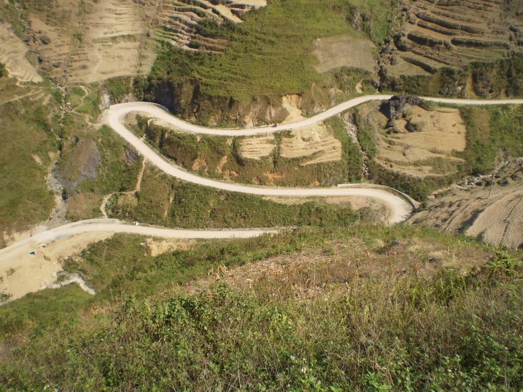 P1011541-1.jpg