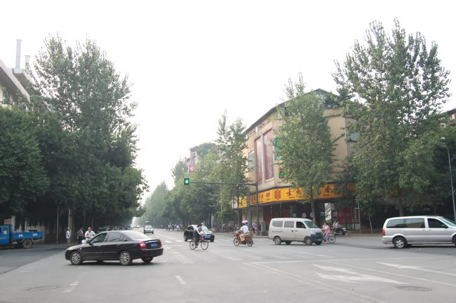 IMG_8772.jpg