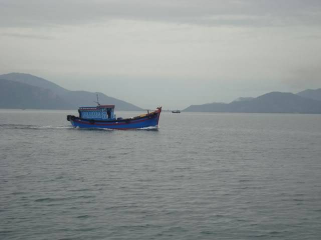 DSC03429.jpg