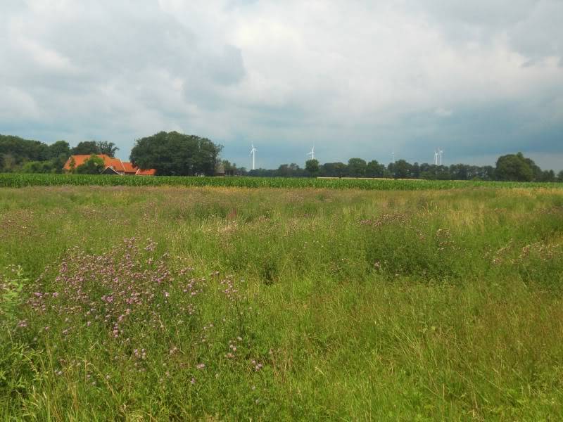 DSCN8749.jpg