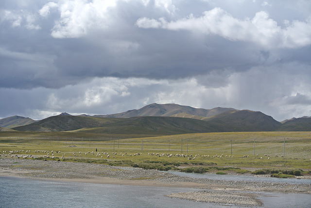 16646220928_5b18545248_z.jpg