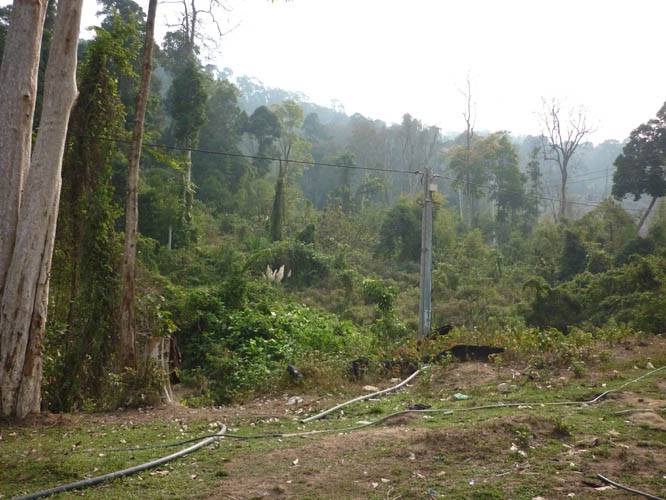 P1050452.jpg