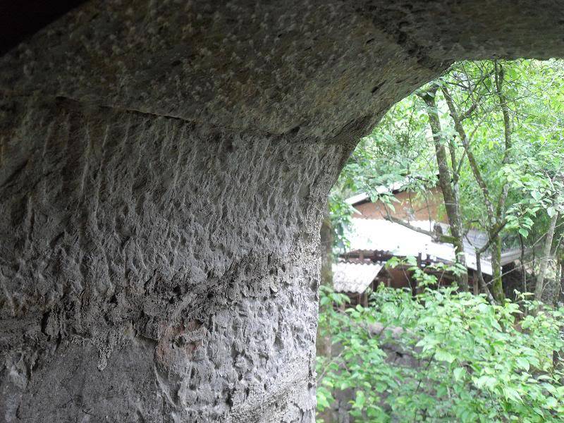 SDC15343.jpg