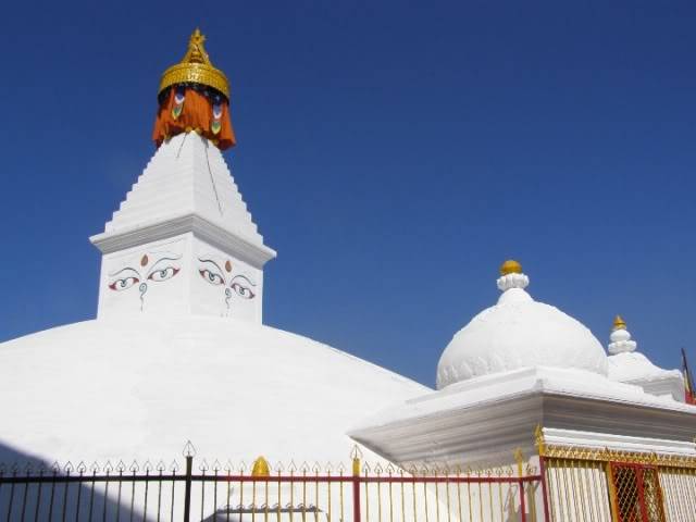 PA290091.jpg