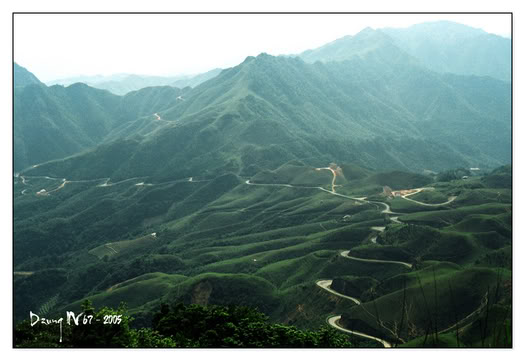 Duong.jpg