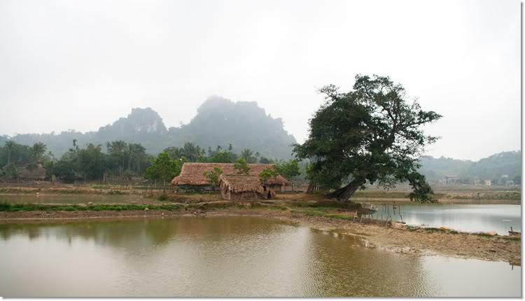 thanhhoa1of6.jpg