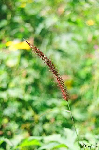 00039-07.jpg